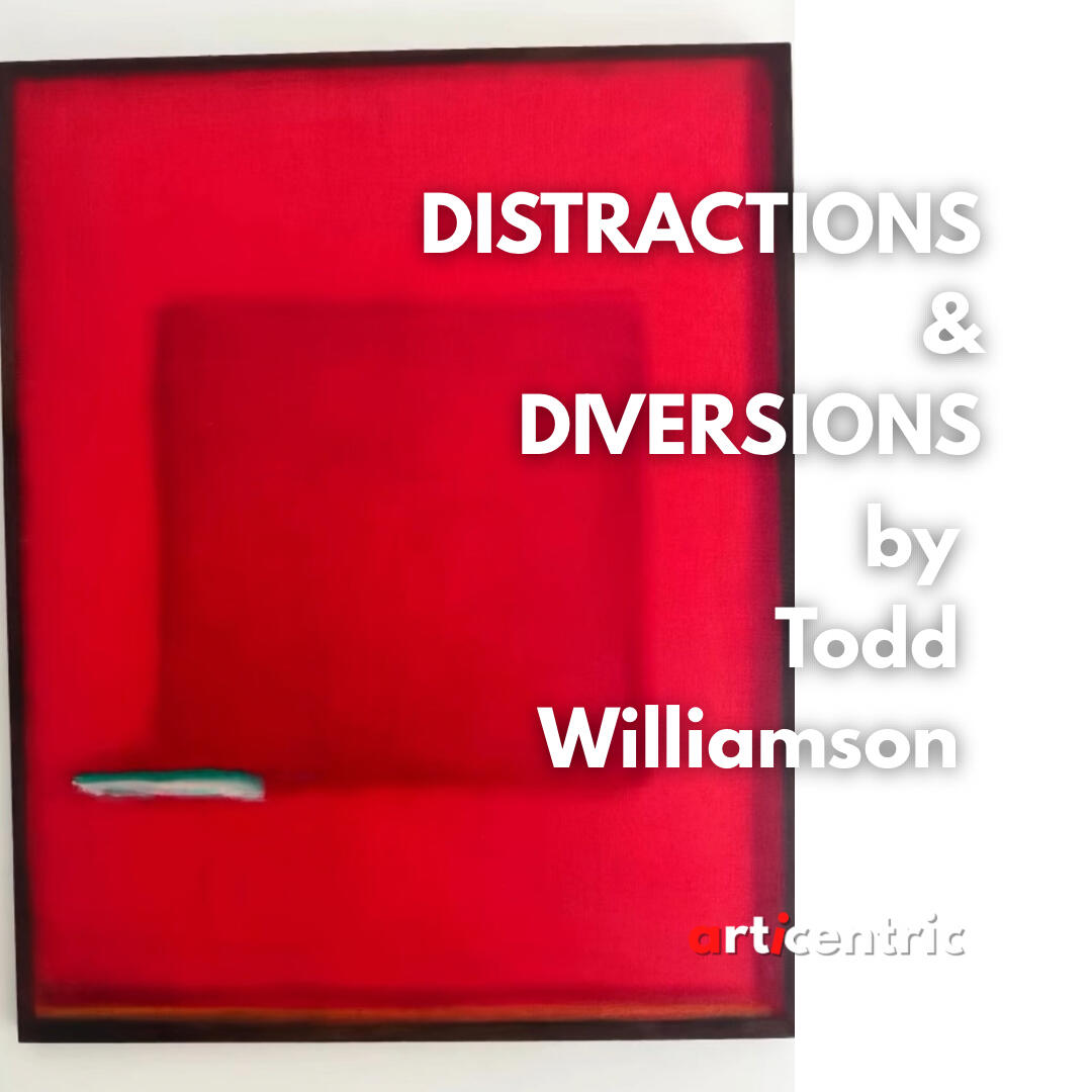 Distractions and Diversions by Todd Williamson